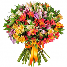 С Альстромерией (8)