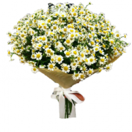 С Ромашками (8)